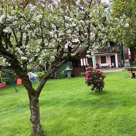 Ferienwohnung Singer Schnaittach Dış mekan fotoğraf